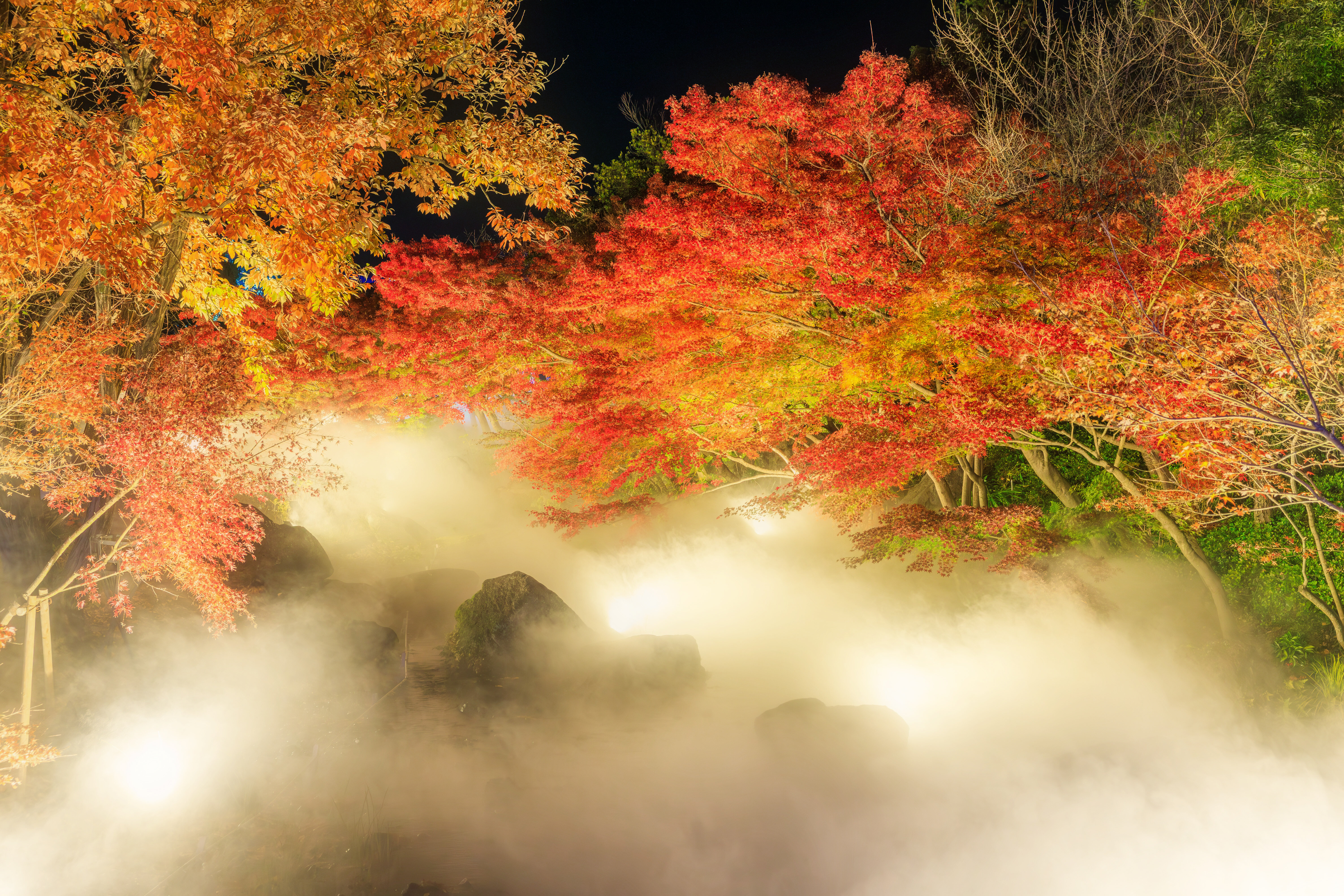 無料壁紙 霧に包まれるせせらぎと紅葉。PCとデスクトップ壁紙に最適な4K高画質の無料壁紙。三重県桑名市のなばなの里で撮影したフリー写真素材