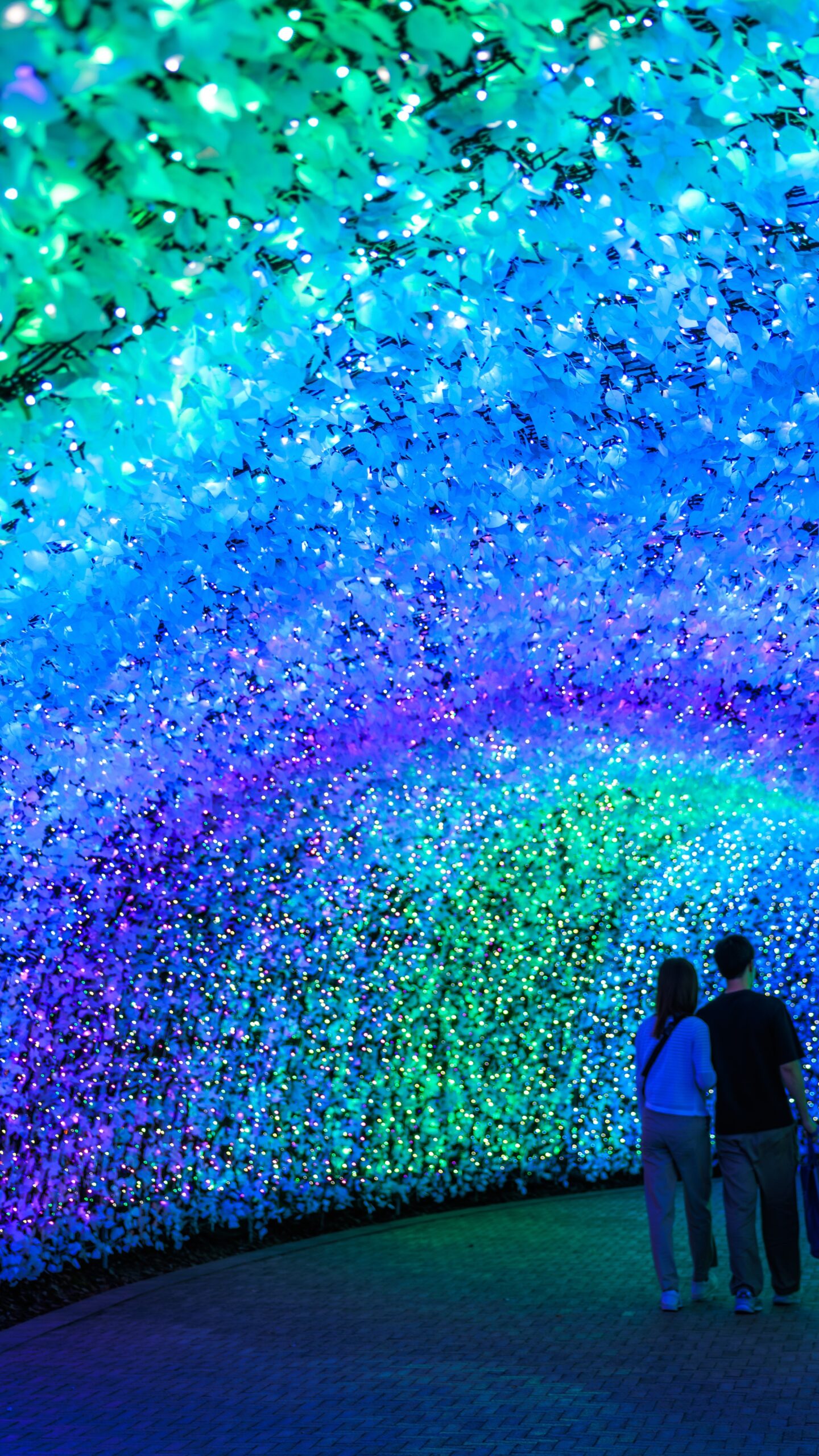 2026年の光のトンネル「波」(三重県桑名市・なばなの里)