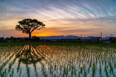 無料壁紙 青とオレンジの空。PCとデスクトップ壁紙に最適な4K高画質の無料壁紙。三重県鈴鹿市の長太の大楠で撮影したフリー写真素材