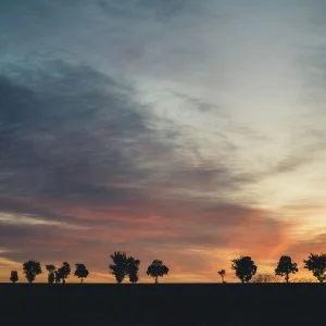 曽原町のフリー写真素材