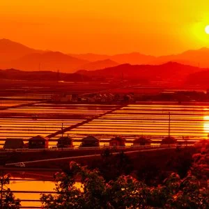 無料壁紙 二ノ丸跡から水田をズームアップ。PCとデスクトップ壁紙に最適な4K高画質の無料壁紙。三重県玉城町の田丸城跡で撮影したフリー写真素材