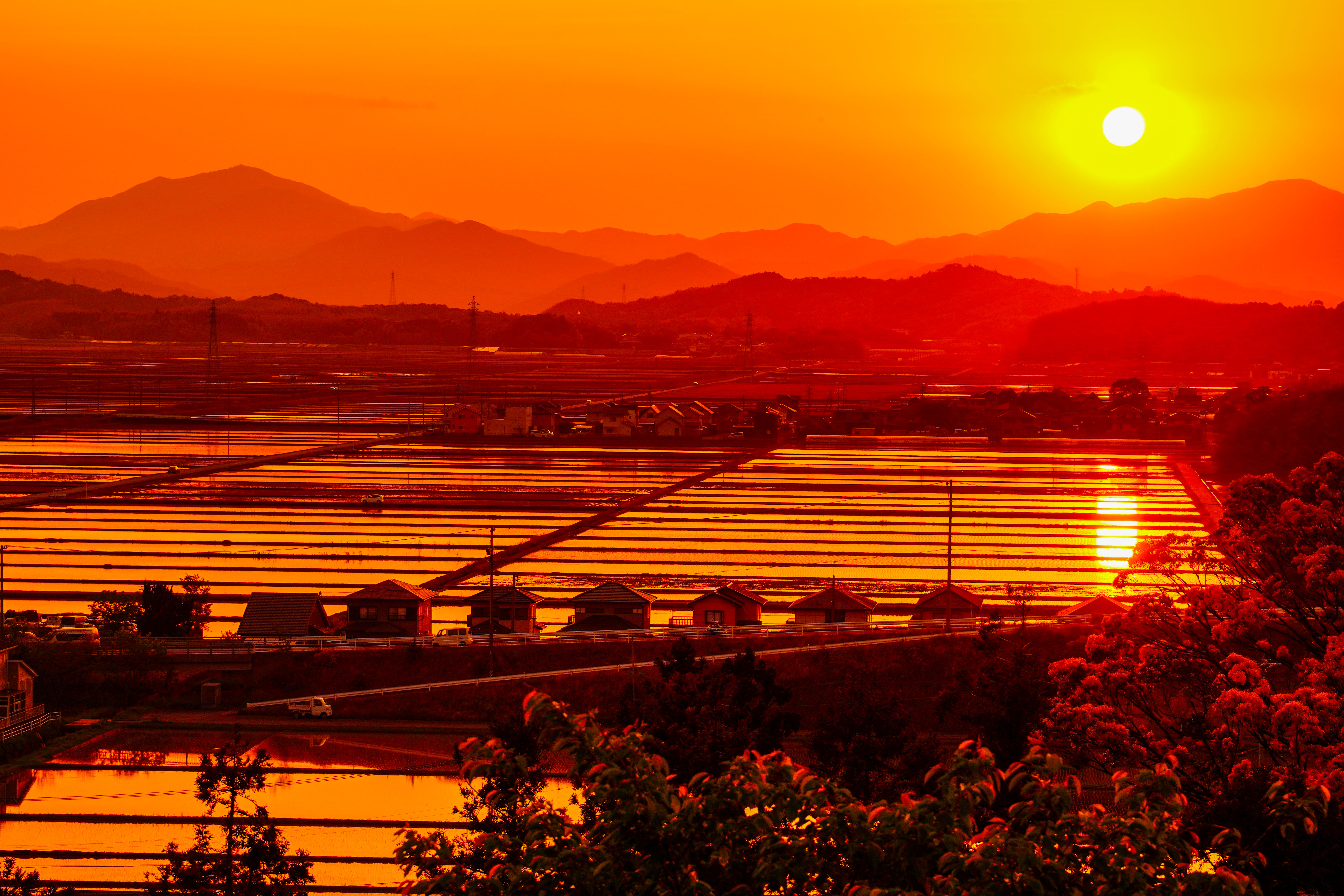 二ノ丸跡から水田をズームアップ(三重県玉城町・田丸城跡)