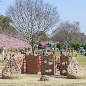 無料壁紙 遊具がいっぱい。PCとデスクトップ壁紙に最適な4K高画質の無料壁紙。三重県度会町の宮リバー度会パークで撮影したフリー写真素材