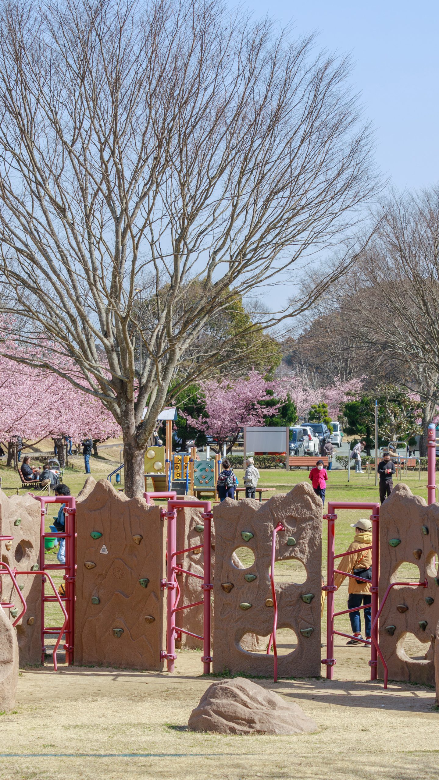 遊具がいっぱい(三重県度会町・宮リバー度会パーク)