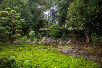 無料壁紙 雨でしっとりと映る庭園。PCとデスクトップ壁紙に最適な4K高画質の無料壁紙。三重県玉城町の玄甲舎で撮影したフリー写真素材