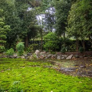 無料壁紙 雨でしっとりと映る庭園。PCとデスクトップ壁紙に最適な4K高画質の無料壁紙。三重県玉城町の玄甲舎で撮影したフリー写真素材