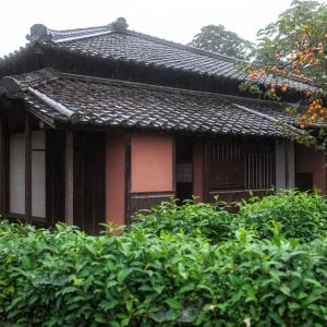 無料壁紙 茶畑に包まれる家屋。PCとデスクトップ壁紙に最適な4K高画質の無料壁紙。三重県玉城町の玄甲舎で撮影したフリー写真素材