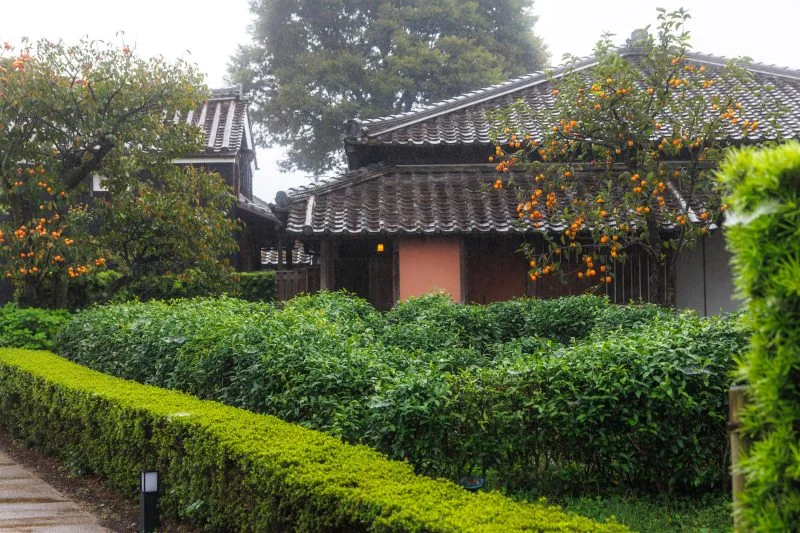 無料壁紙 垣根と柿。PCとデスクトップ壁紙に最適な4K高画質の無料壁紙。三重県玉城町の玄甲舎で撮影したフリー写真素材