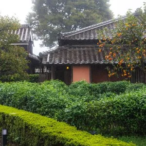 無料壁紙 垣根と柿。PCとデスクトップ壁紙に最適な4K高画質の無料壁紙。三重県玉城町の玄甲舎で撮影したフリー写真素材