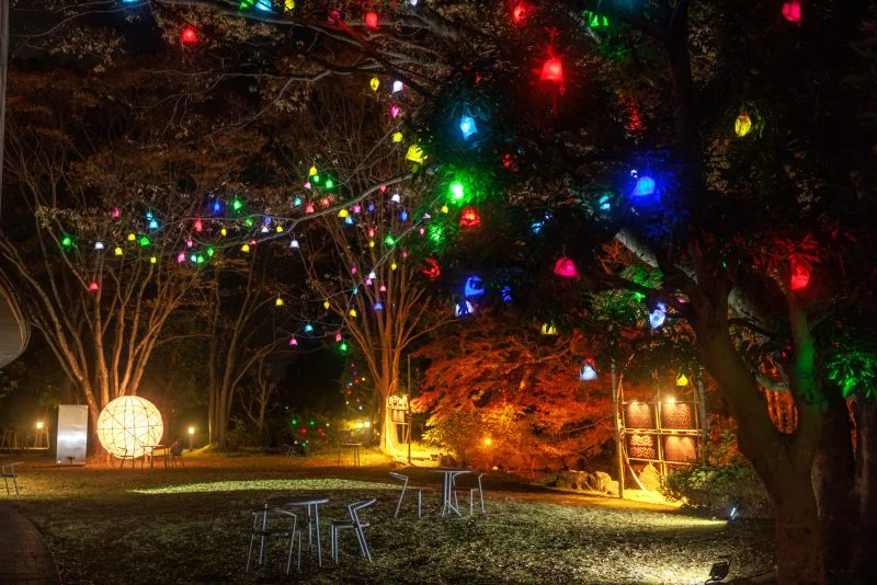 無料壁紙 光の実と紅葉ライトアップされた日本庭園。PCとデスクトップ壁紙に最適な4K高画質の無料壁紙。三重県津市のそうぶんの月灯りで撮影したフリー写真素材