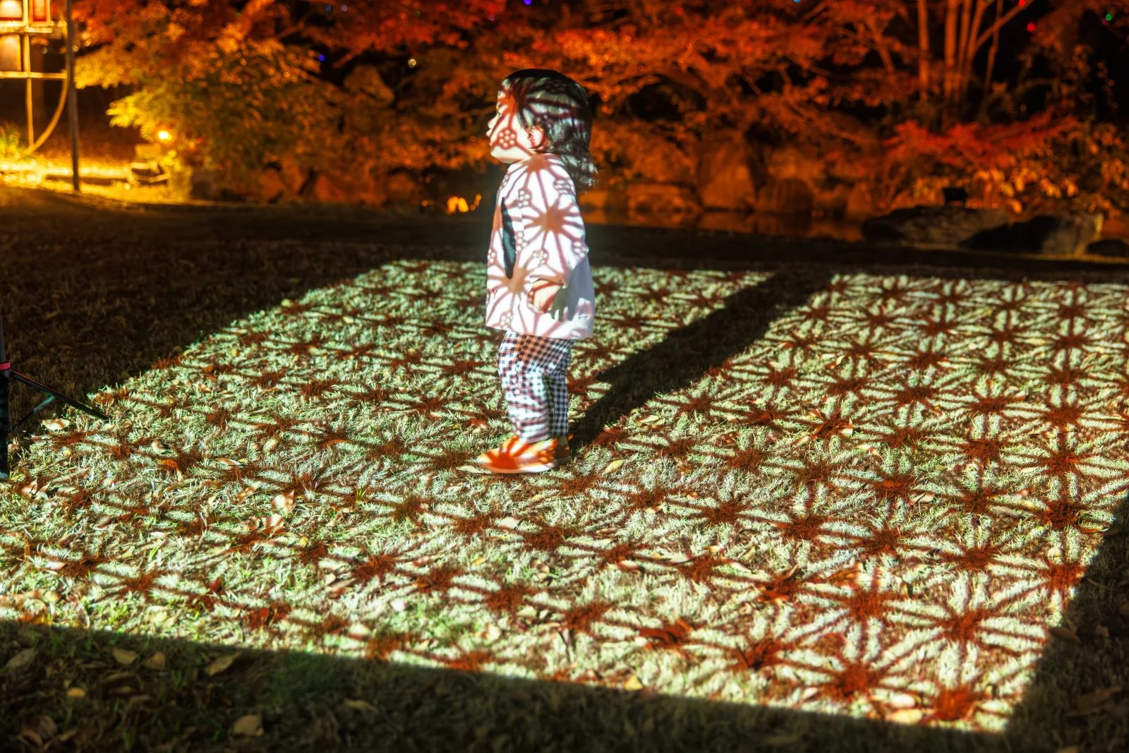 無料壁紙 伊勢型紙の模様が映るプロジェクションマッピング。PCとデスクトップ壁紙に最適な4K高画質の無料壁紙。三重県津市のそうぶんの月灯りで撮影したフリー写真素材