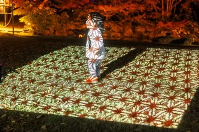 無料壁紙 伊勢型紙の模様が映るプロジェクションマッピング。PCとデスクトップ壁紙に最適な4K高画質の無料壁紙。三重県津市のそうぶんの月灯りで撮影したフリー写真素材