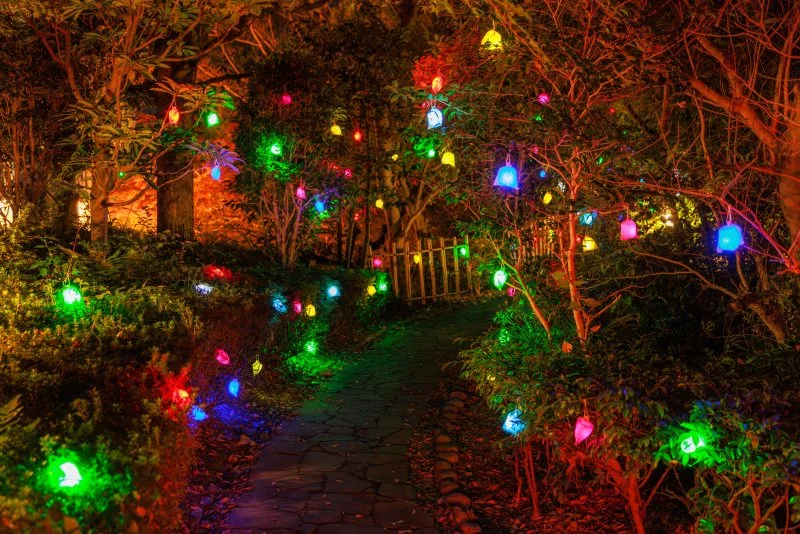 無料壁紙 彩り豊かな光の実が広がる日本庭園の通路。PCとデスクトップ壁紙に最適な4K高画質の無料壁紙。三重県津市のそうぶんの月灯りで撮影したフリー写真素材