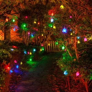 無料壁紙 彩り豊かな光の実が広がる日本庭園の通路。PCとデスクトップ壁紙に最適な4K高画質の無料壁紙。三重県津市のそうぶんの月灯りで撮影したフリー写真素材