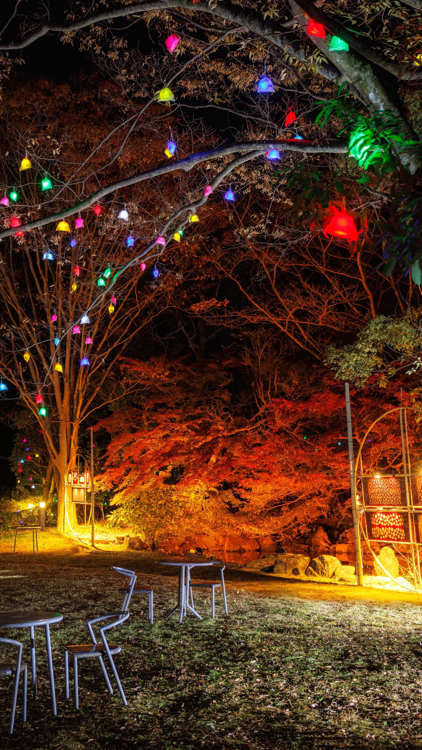 メイン会場の日本庭園(三重県津市・そうぶんの月灯り)