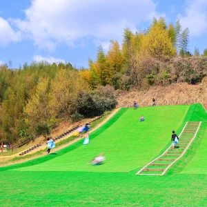 中勢グリーンパークのフリー写真素材