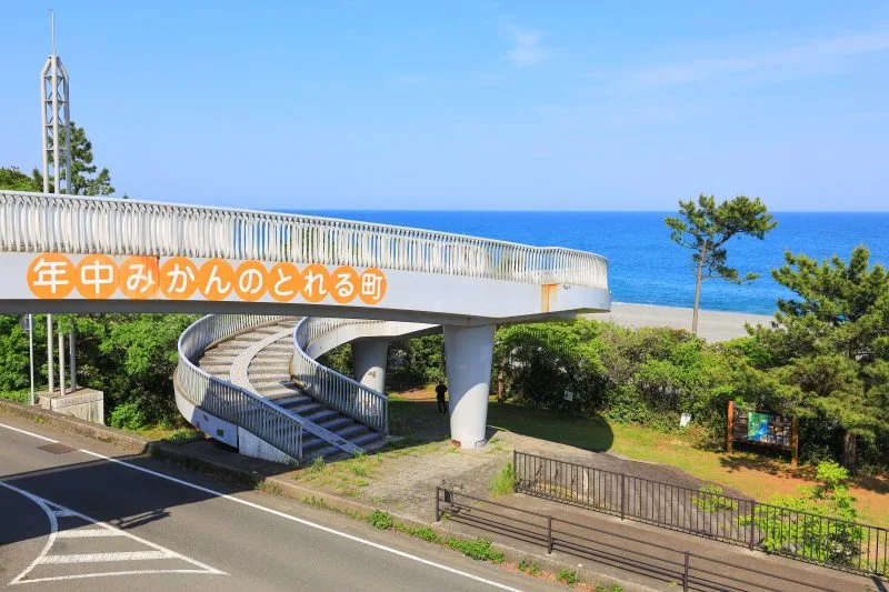 無料壁紙 年中みかんのとれる町。PCとデスクトップ壁紙に最適な4K高画質の無料壁紙。三重県御浜町の七里御浜ふれあいビーチで撮影したフリー写真素材