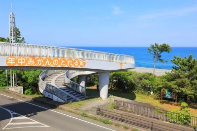 無料壁紙 年中みかんのとれる町。PCとデスクトップ壁紙に最適な4K高画質の無料壁紙。三重県御浜町の七里御浜ふれあいビーチで撮影したフリー写真素材