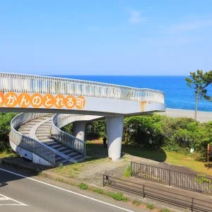 無料壁紙 年中みかんのとれる町。PCとデスクトップ壁紙に最適な4K高画質の無料壁紙。三重県御浜町の七里御浜ふれあいビーチで撮影したフリー写真素材