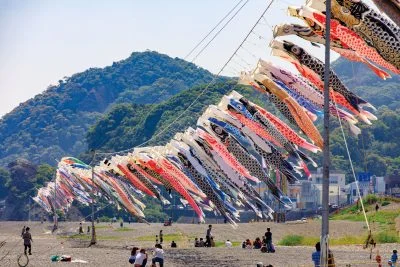 無料壁紙 約250匹の鯉のぼり。PCとデスクトップ壁紙に最適な4K高画質の無料壁紙。三重県熊野市の七里御浜で撮影したフリー写真素材