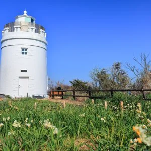 無料壁紙 菅島灯台と水仙。PCとデスクトップ壁紙に最適な4K高画質の無料壁紙。三重県鳥羽市の菅島で撮影したフリー写真素材