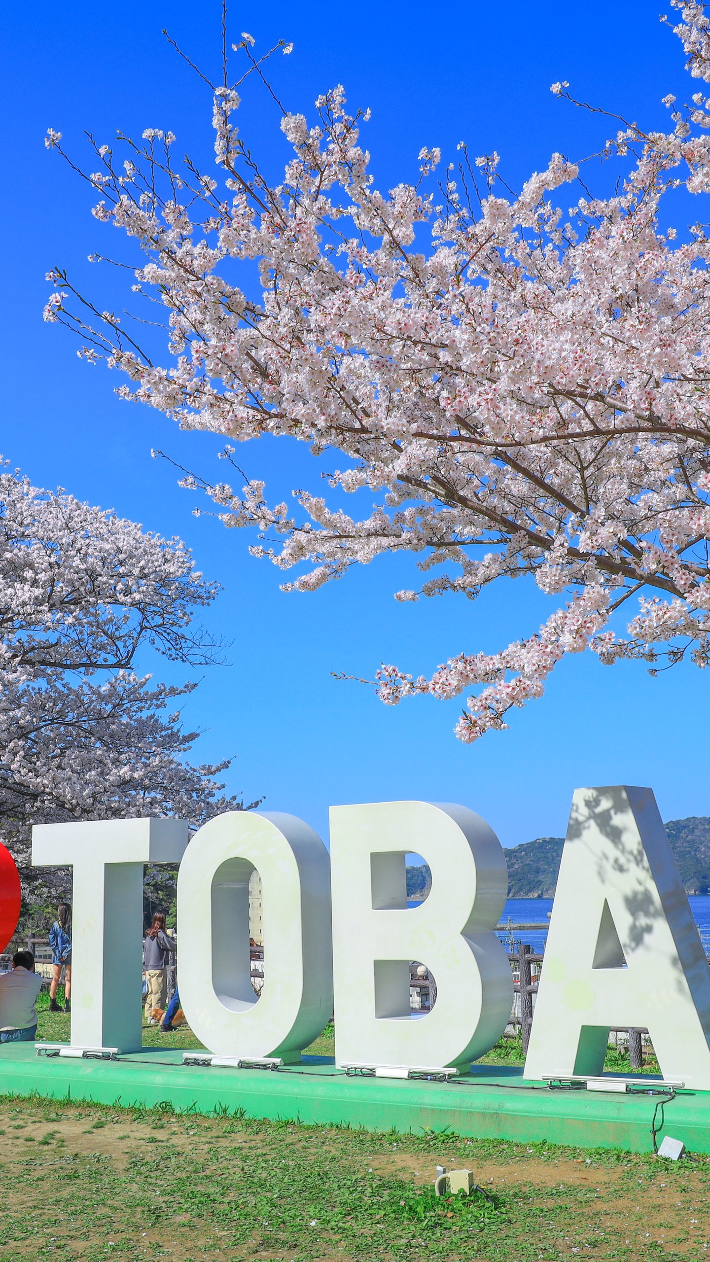 無料壁紙 ハートTOBAのモニュメントと桜。PCとデスクトップ壁紙に最適な4K高画質の無料壁紙。三重県鳥羽市の城山公園(鳥羽城跡)で撮影したフリー写真素材
