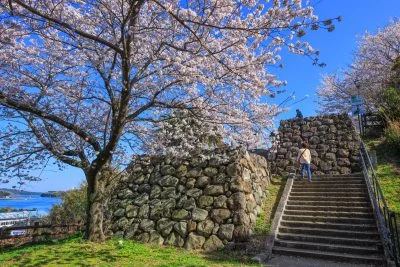 無料壁紙 桜と石垣。PCとデスクトップ壁紙に最適な4K高画質の無料壁紙。三重県鳥羽市の城山公園（鳥羽城跡）で撮影したフリー写真素材