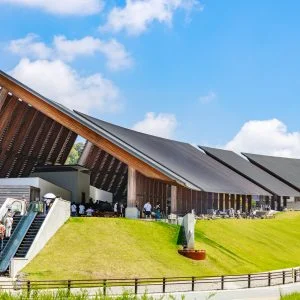 VISONのフリー素材・壁紙