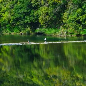 五十鈴川のフリー写真素材