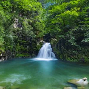 無料壁紙 緑一色。PCとデスクトップ壁紙に最適な4K高画質の無料壁紙。三重県名張市の赤目四十八滝で撮影したフリー写真素材