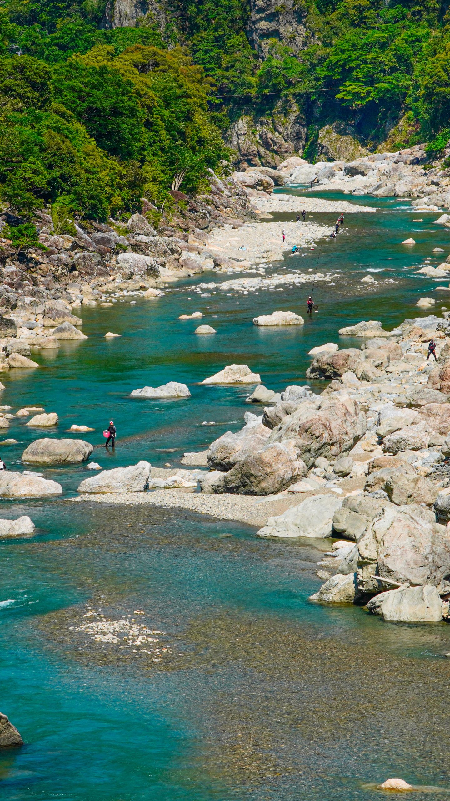 鮎釣りの光景(三重県大台町・宮川)