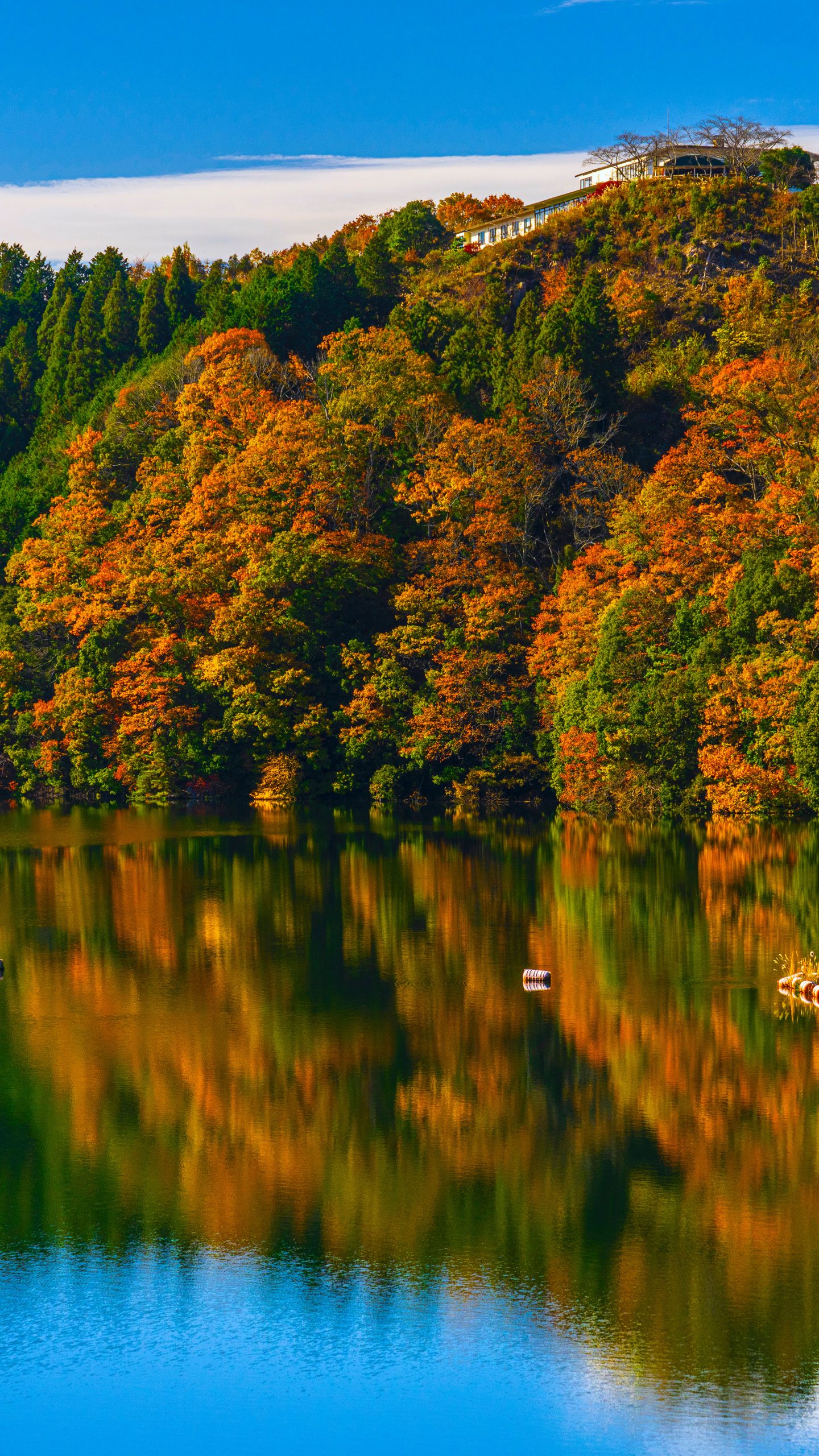 紅葉リフレクション(三重県名張市・青蓮寺湖)