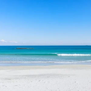 国府白浜のフリー写真素材