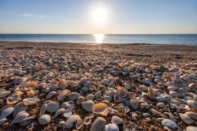 無料壁紙 白い貝殻がたくさん落ちている砂浜。PCとデスクトップ壁紙に最適な4K高画質の無料壁紙。三重県鈴鹿市の千代崎海岸で撮影したフリー写真素材