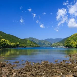 無料壁紙 大地浜の新緑と青空。PCとデスクトップ壁紙に最適な4K高画質の無料壁紙。三重県尾鷲市の盛松で撮影したフリー写真素材