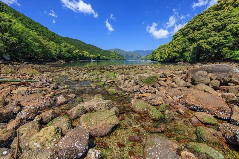 無料壁紙 太地（タージ）浜。PCとデスクトップ壁紙に最適な4K高画質の無料壁紙。三重県尾鷲市の盛松で撮影したフリー写真素材