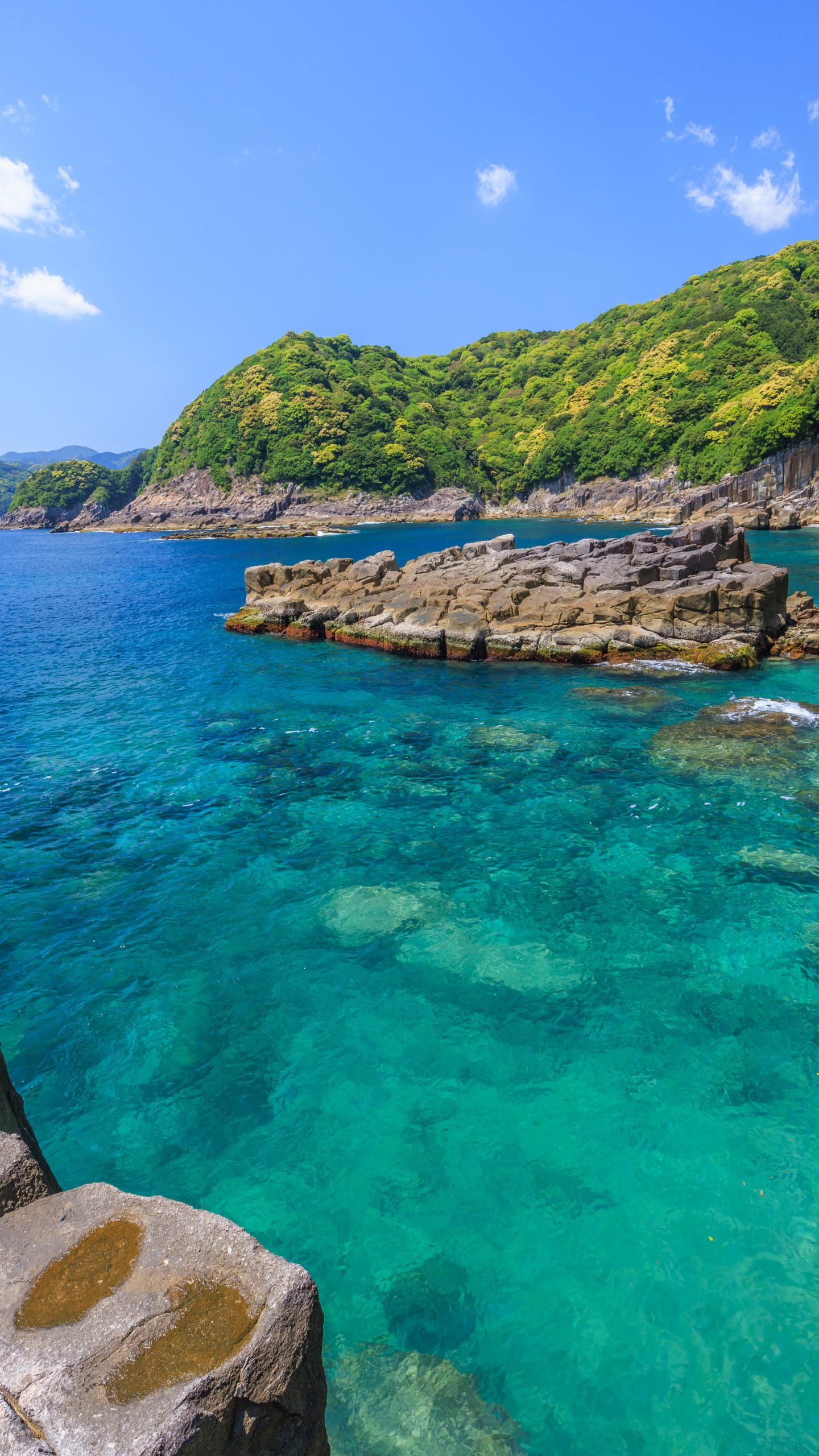 盛松の海で絶景を堪能する女性(三重県尾鷲市)