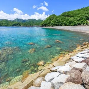 黒浜海水浴場のフリー写真素材