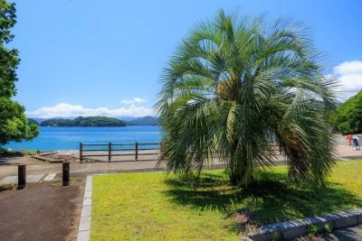 無料壁紙 駐車場にあるヤシの木。PCとデスクトップ壁紙に最適な4K高画質の無料壁紙。三重県紀北町の黒浜海水浴場で撮影したフリー写真素材