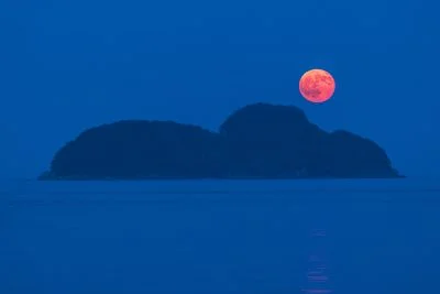 無料壁紙 月見をするムーミン島　（佐波留島）。PCとデスクトップ壁紙に最適な4K高画質の無料壁紙。三重県尾鷲市の尾鷲港で撮影したフリー写真素材