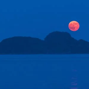 無料壁紙 月見をするムーミン島　（佐波留島）。PCとデスクトップ壁紙に最適な4K高画質の無料壁紙。三重県尾鷲市の尾鷲港で撮影したフリー写真素材