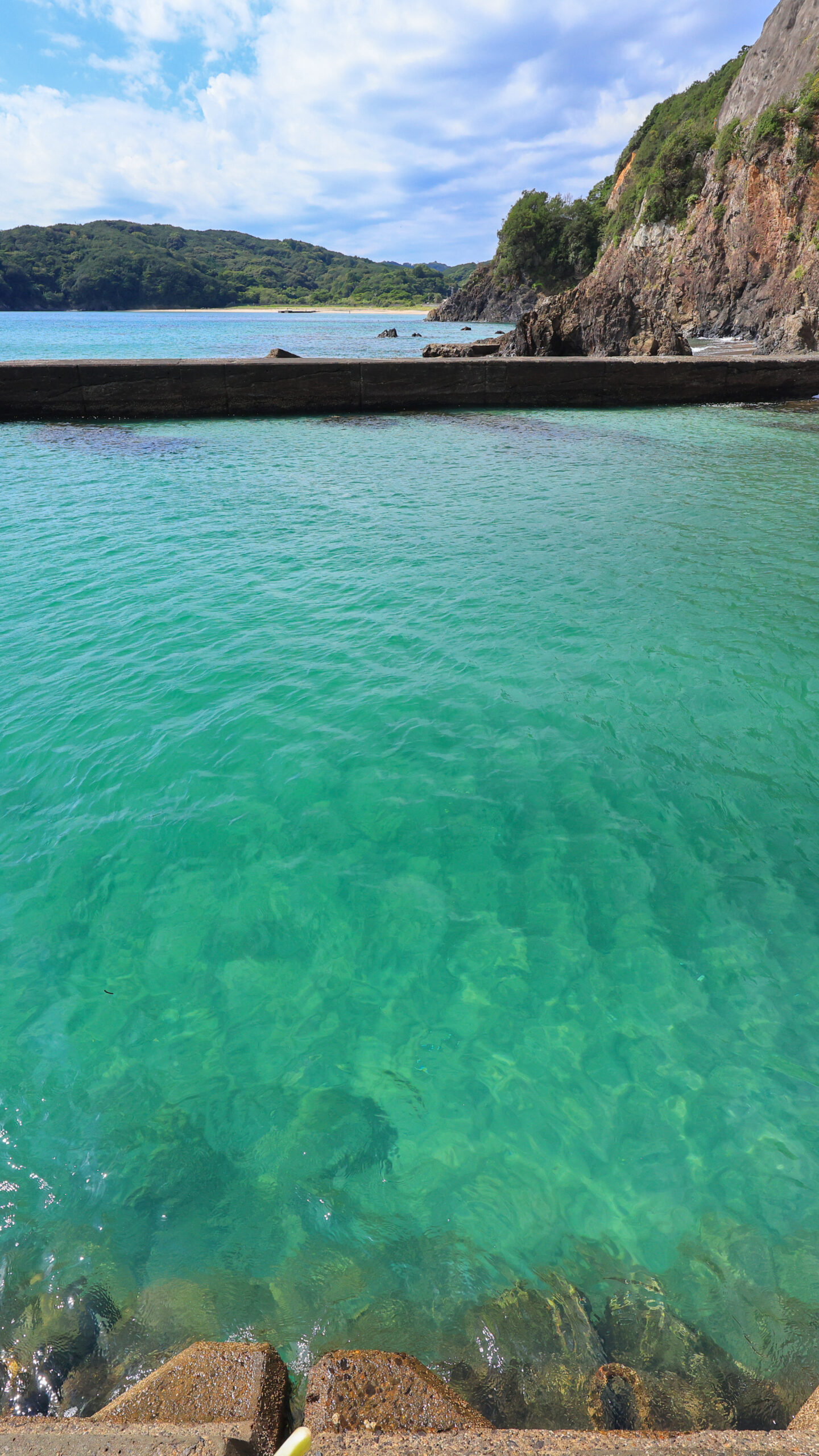 川の水が混ざる淡水エリア。突堤から撮影(三重県志摩市・南張海浜公園)