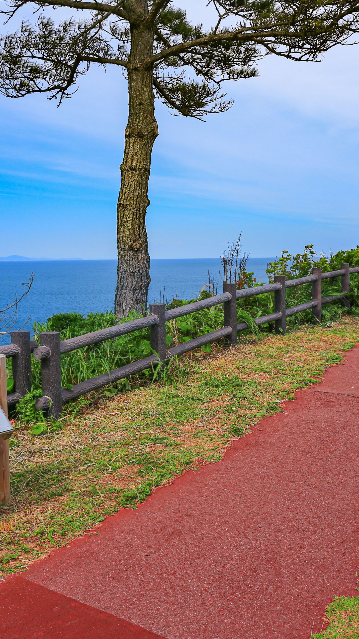 灯台へ続く道(三重県志摩市・安乗埼灯台)