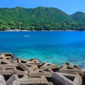 無料壁紙 青々とした山と澄んだ海。PCとデスクトップ壁紙に最適な4K高画質の無料壁紙。三重県熊野市の新鹿海水浴場で撮影したフリー写真素材