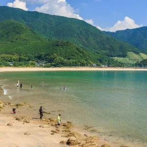 無料壁紙 海水浴を楽しむ人。PCとデスクトップ壁紙に最適な4K高画質の無料壁紙。三重県熊野市の新鹿海水浴場で撮影したフリー写真素材