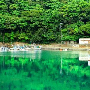 無料壁紙 新緑の波切漁港。PCとデスクトップ壁紙に最適な4K高画質の無料壁紙。三重県志摩市の大王埼灯台で撮影したフリー写真素材