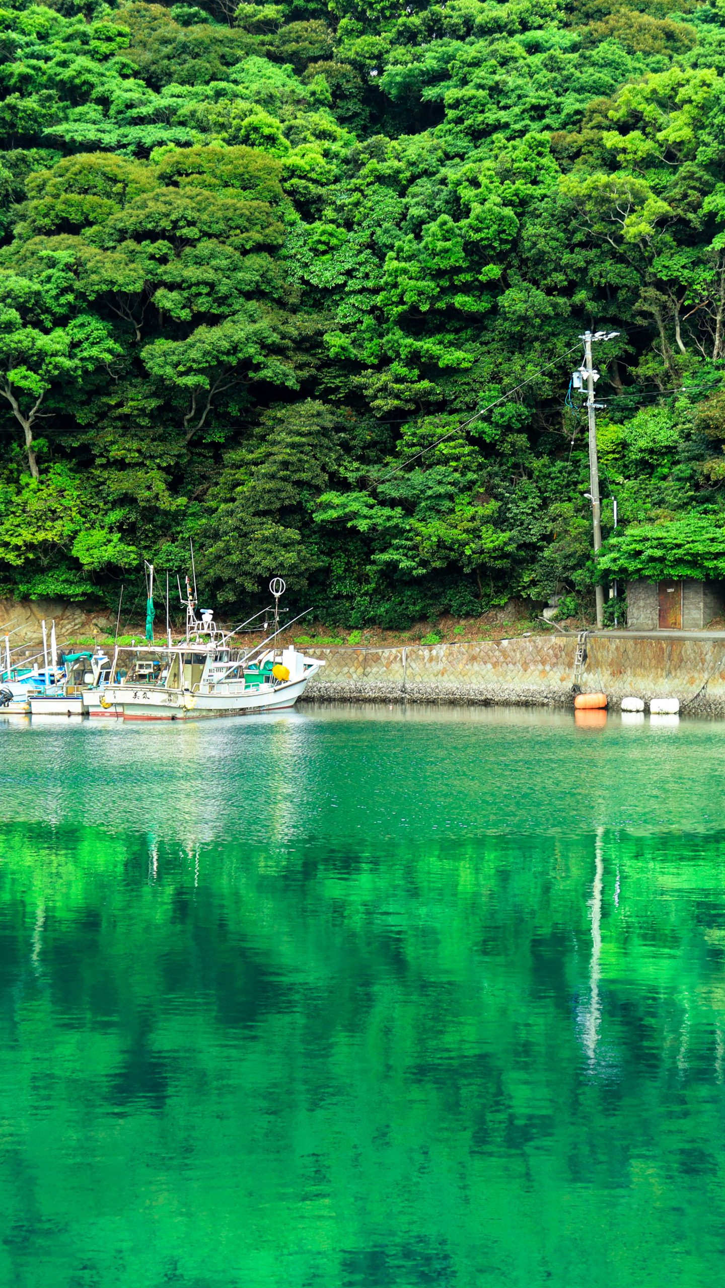 新緑の波切漁港(三重県志摩市・大王埼灯台)