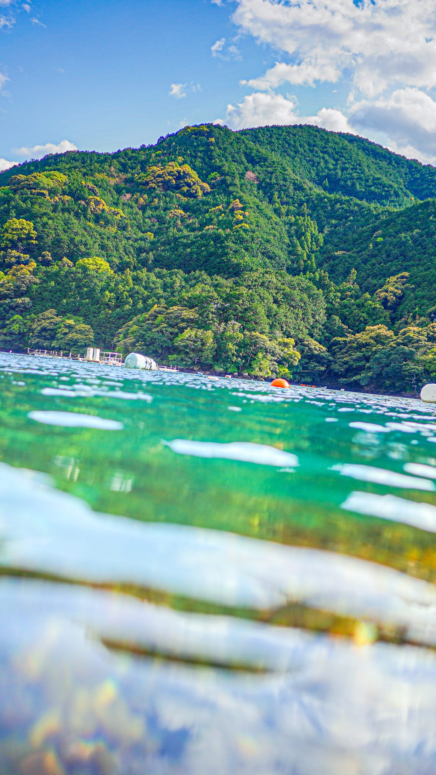 九鬼町の海の中へ(三重県尾鷲市)