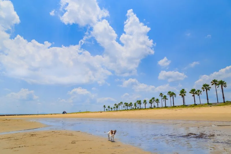 無料壁紙 夏雲。PCとデスクトップ壁紙に最適な4K高画質の無料壁紙。三重県津市のマリーナ河芸で撮影したフリー写真素材