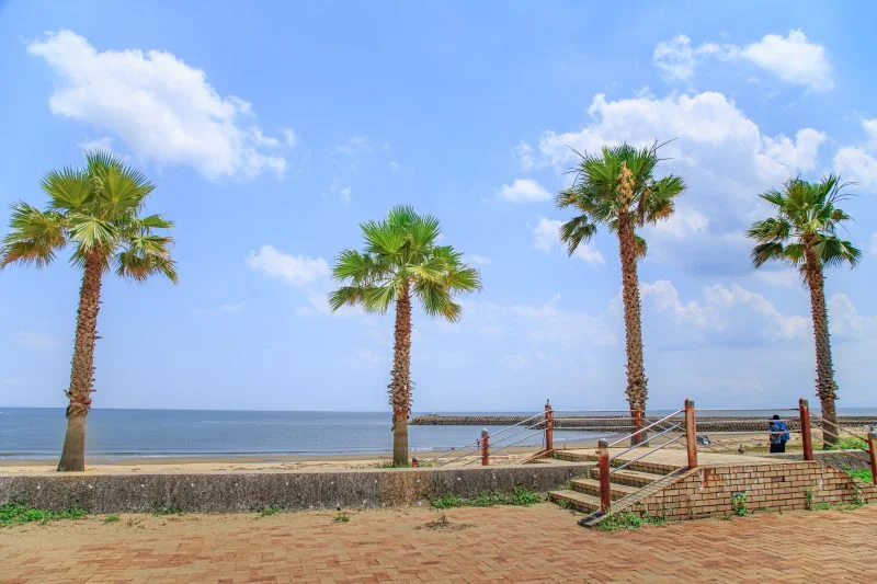 無料壁紙 まるで南国。PCとデスクトップ壁紙に最適な4K高画質の無料壁紙。三重県津市のマリーナ河芸で撮影したフリー写真素材